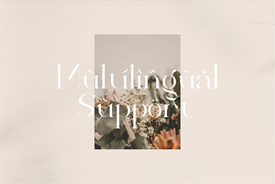 Calina serif classy font — image 18