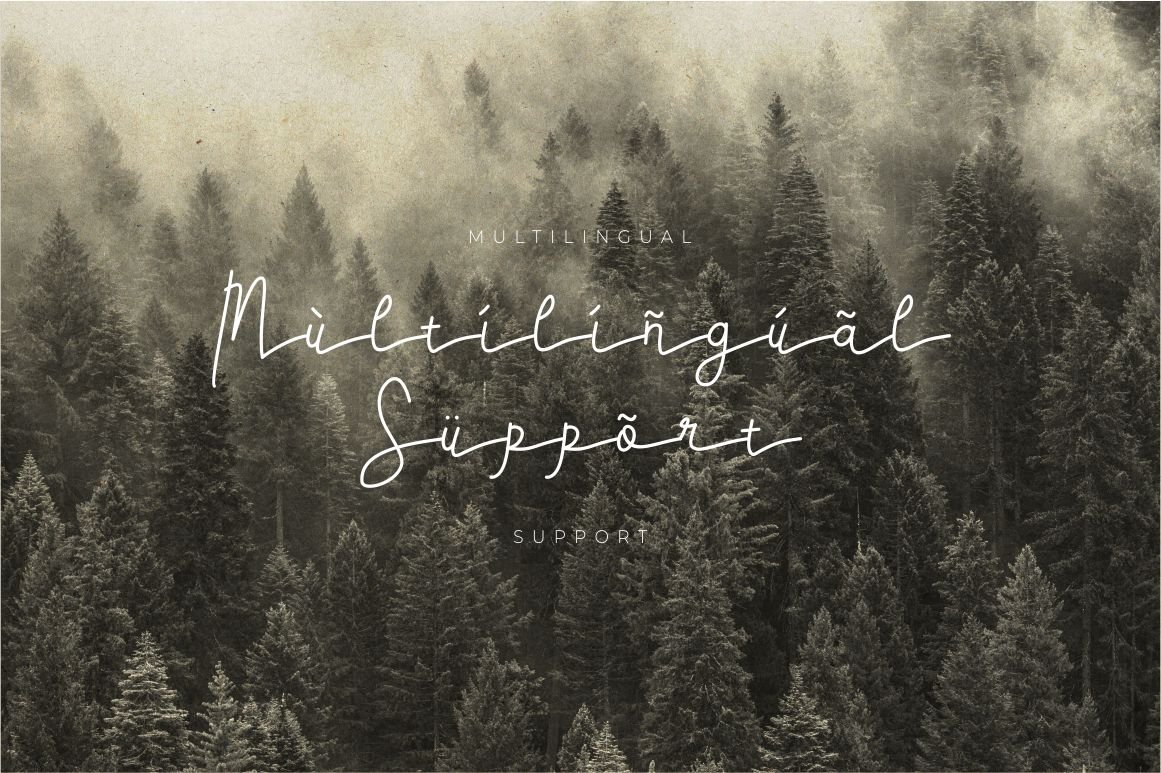 Adelinata script handwritten font — image 7