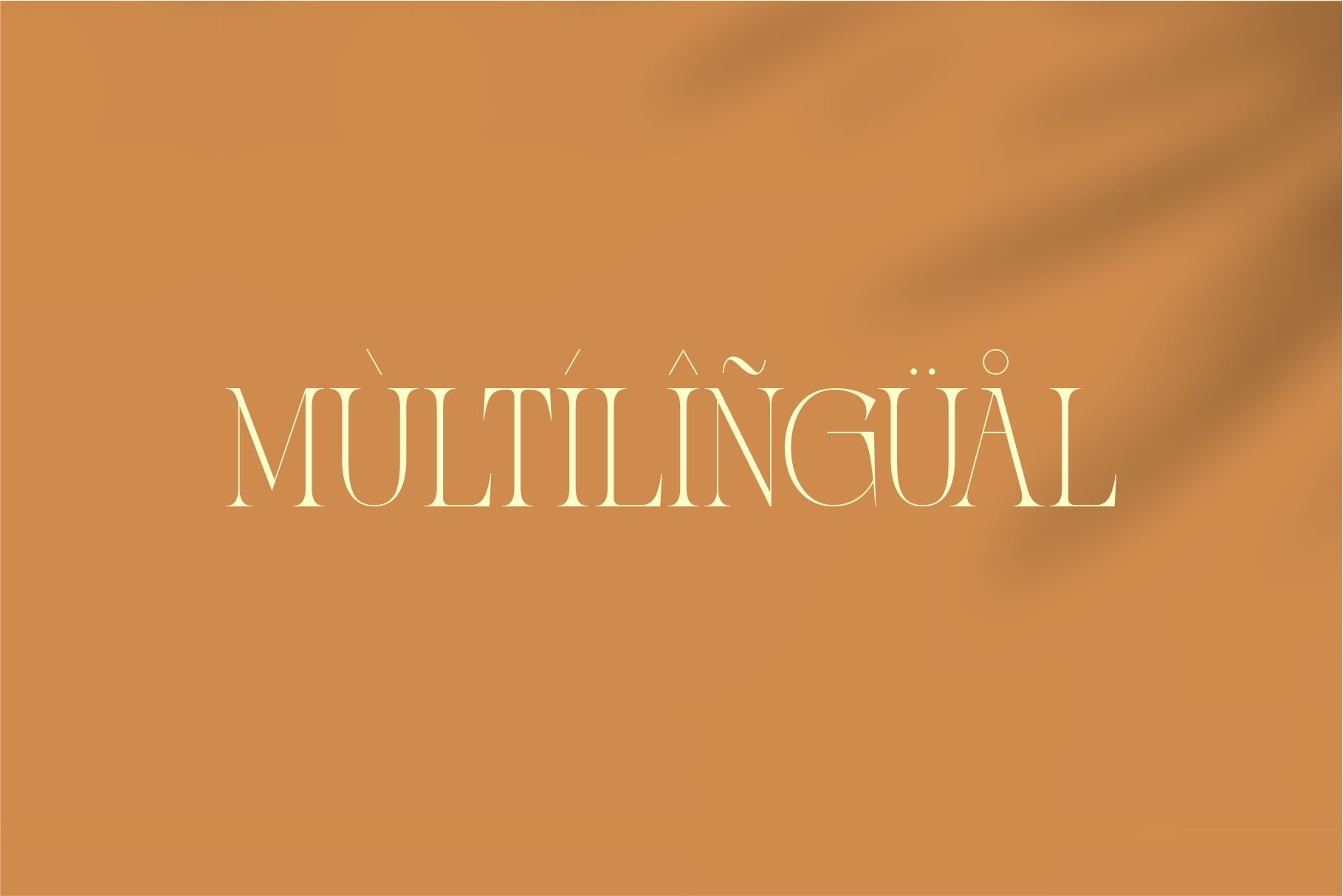 Zaslia - Elegant Ligature Serif — image 12