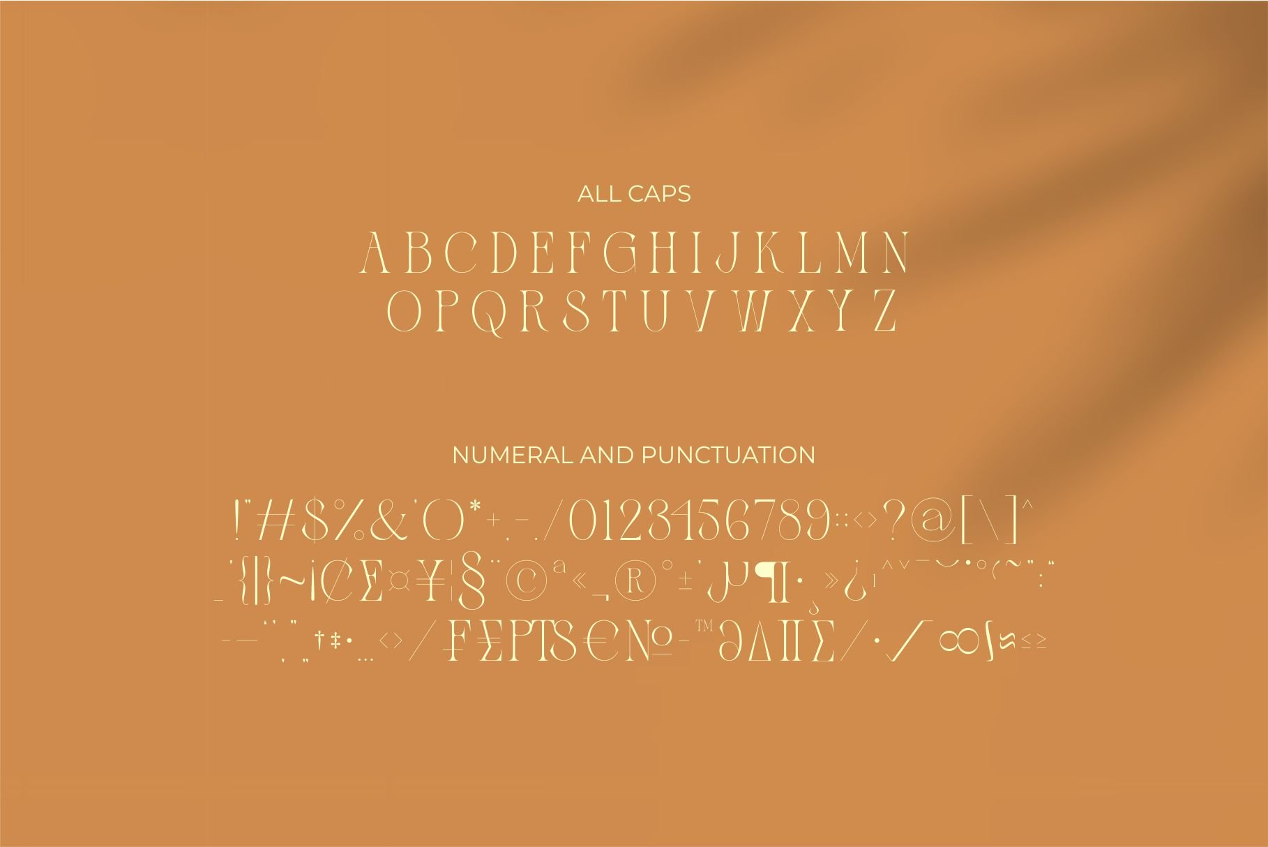 Zaslia - Elegant Ligature Serif — image 13