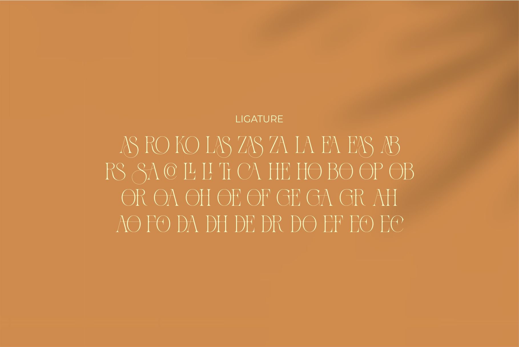 Zaslia - Elegant Ligature Serif — image 14
