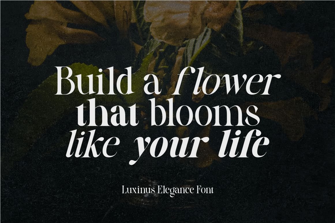 Luxinus Elegance Serif Family With Italic Font — image 6