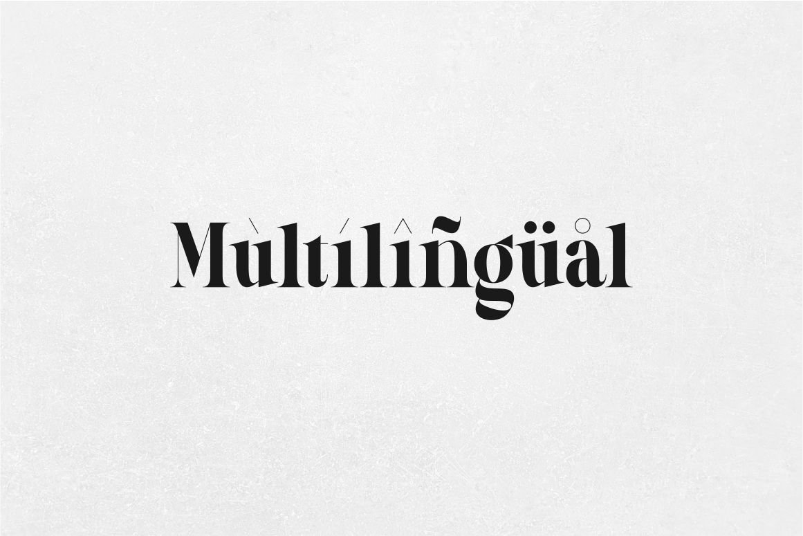 Luxinus Elegance Serif Family With Italic Font — image 14