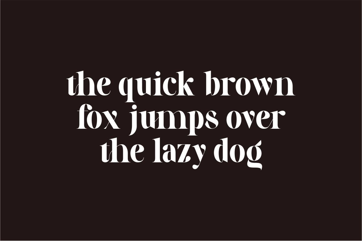 Galery - Elegant Modern Ligature Typeface — image 6