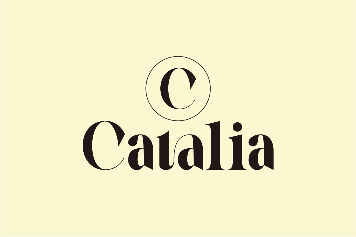 Galery - Elegant Modern Ligature Typeface — image 11