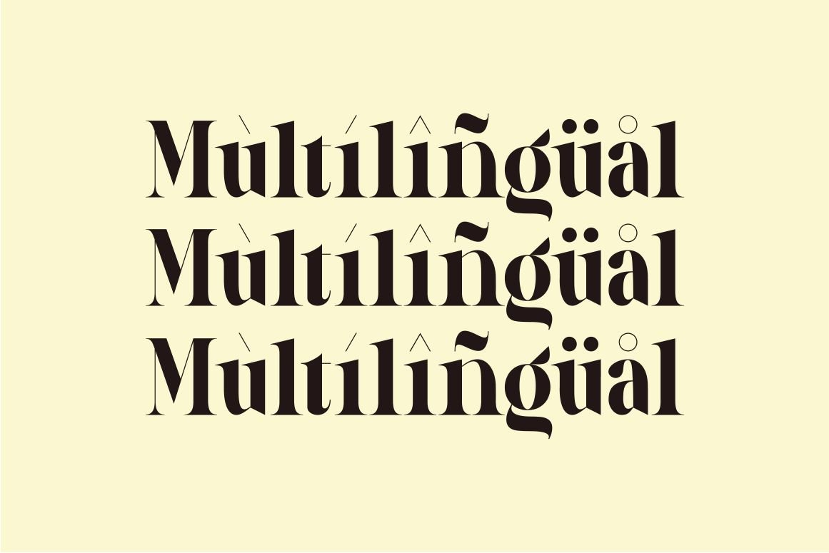 Galery - Elegant Modern Ligature Typeface — image 13