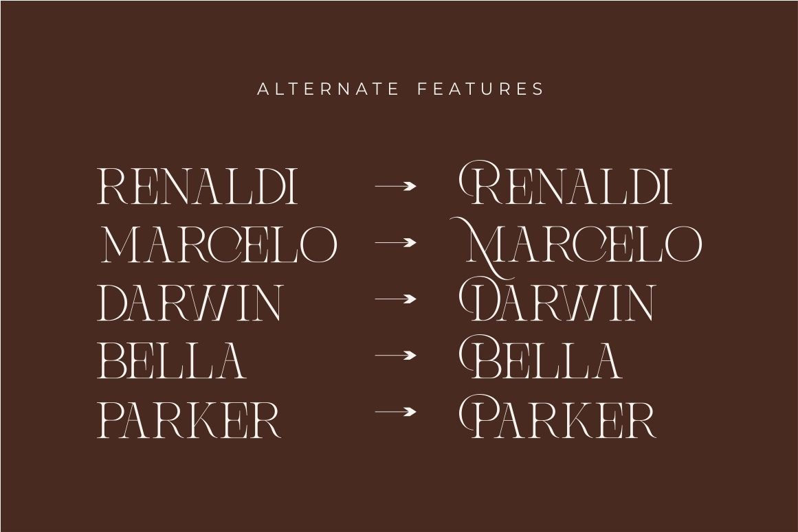 Brisca Miera - Chic Alternate Ligature Serif Font — image 7