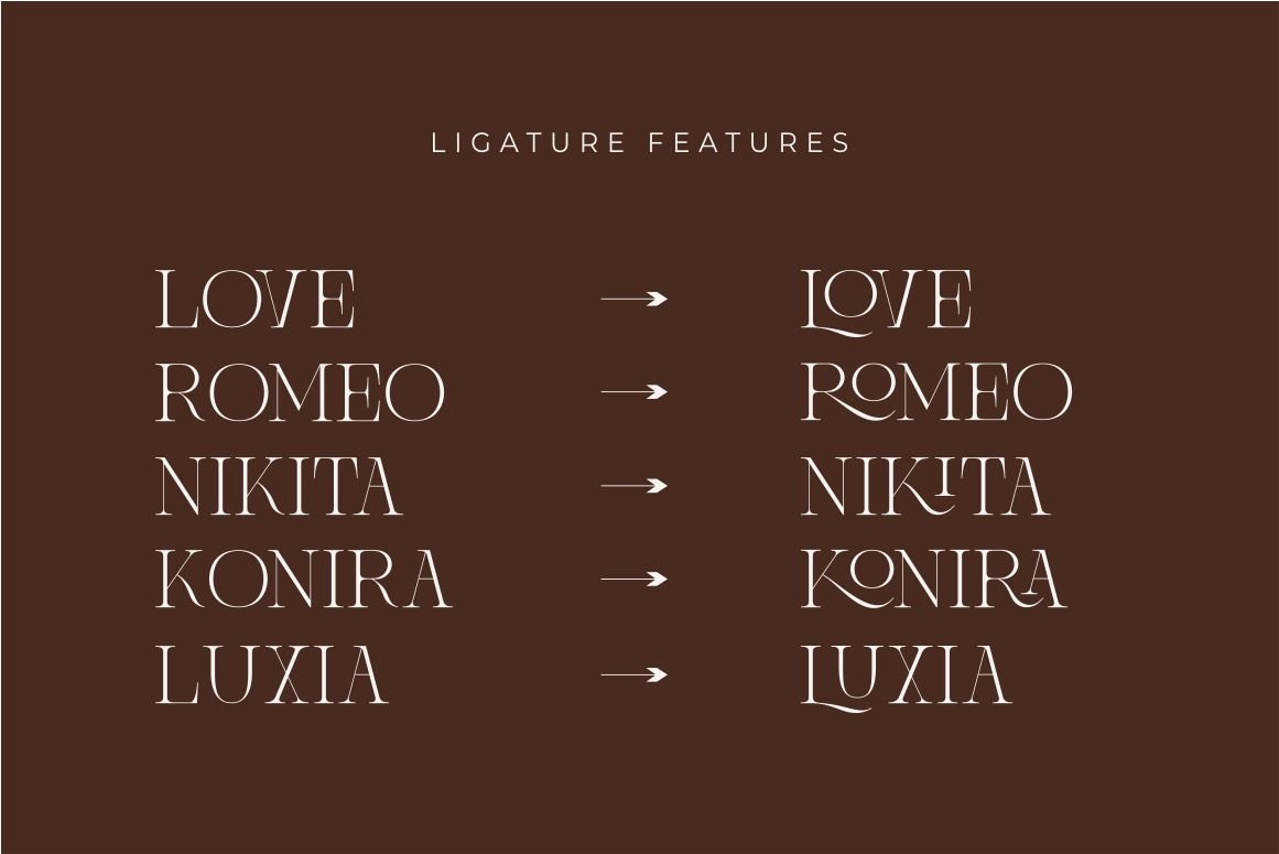 Brisca Miera - Chic Alternate Ligature Serif Font — image 8