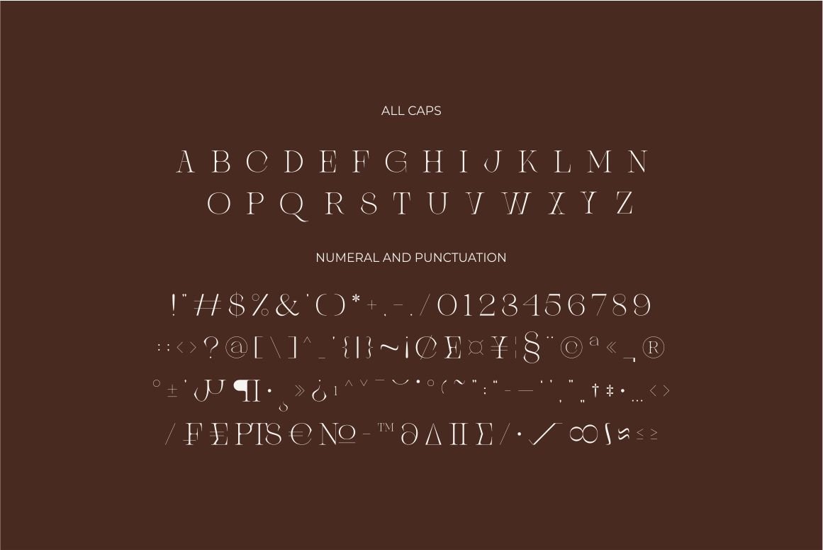 Brisca Miera - Chic Alternate Ligature Serif Font — image 11