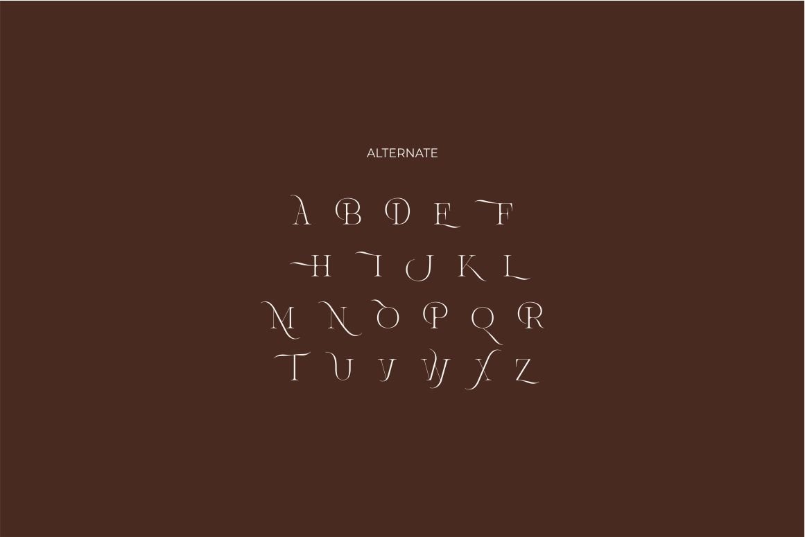 Brisca Miera - Chic Alternate Ligature Serif Font — image 13