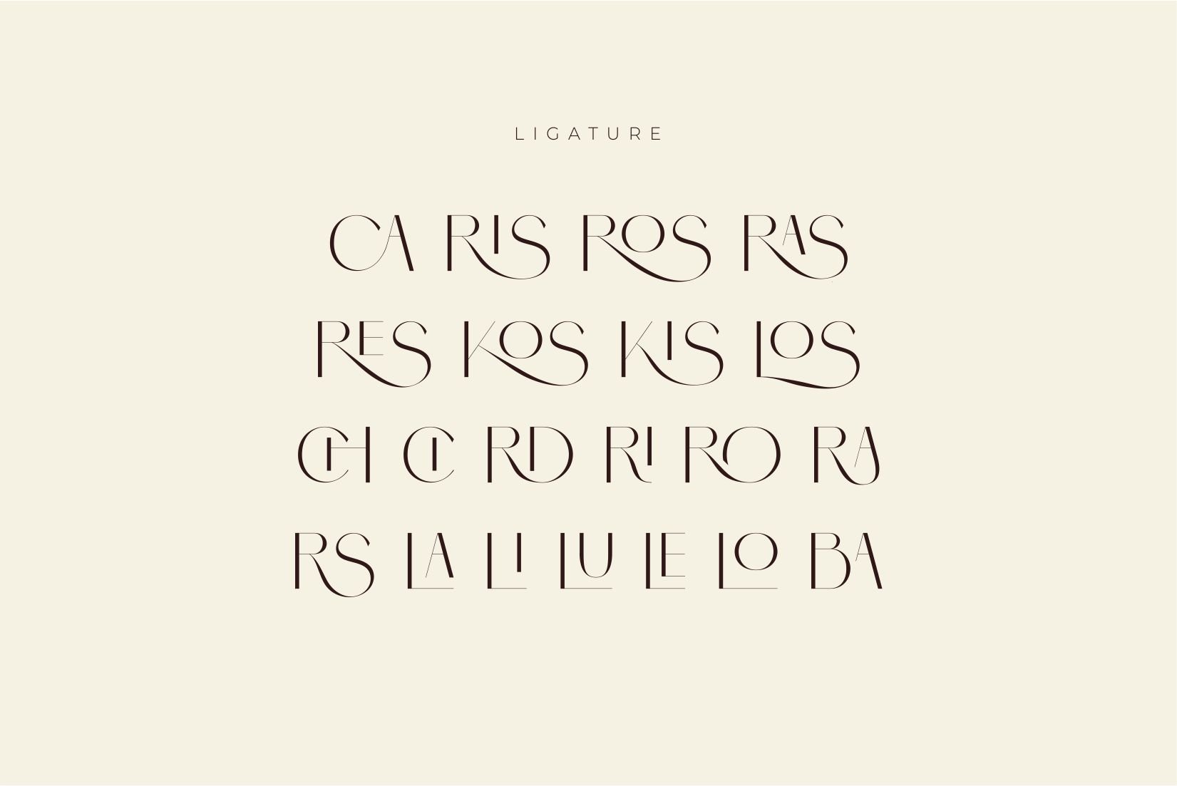 Brisca - Sans Serif Modern Font — image 12