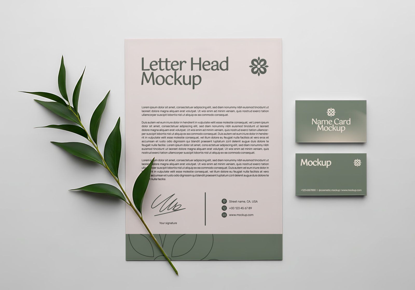 Premium Beauty Store Mockup Bundle – 15 PSD Templates for Cosmetic Branding & Skincare Packaging Des — image 5