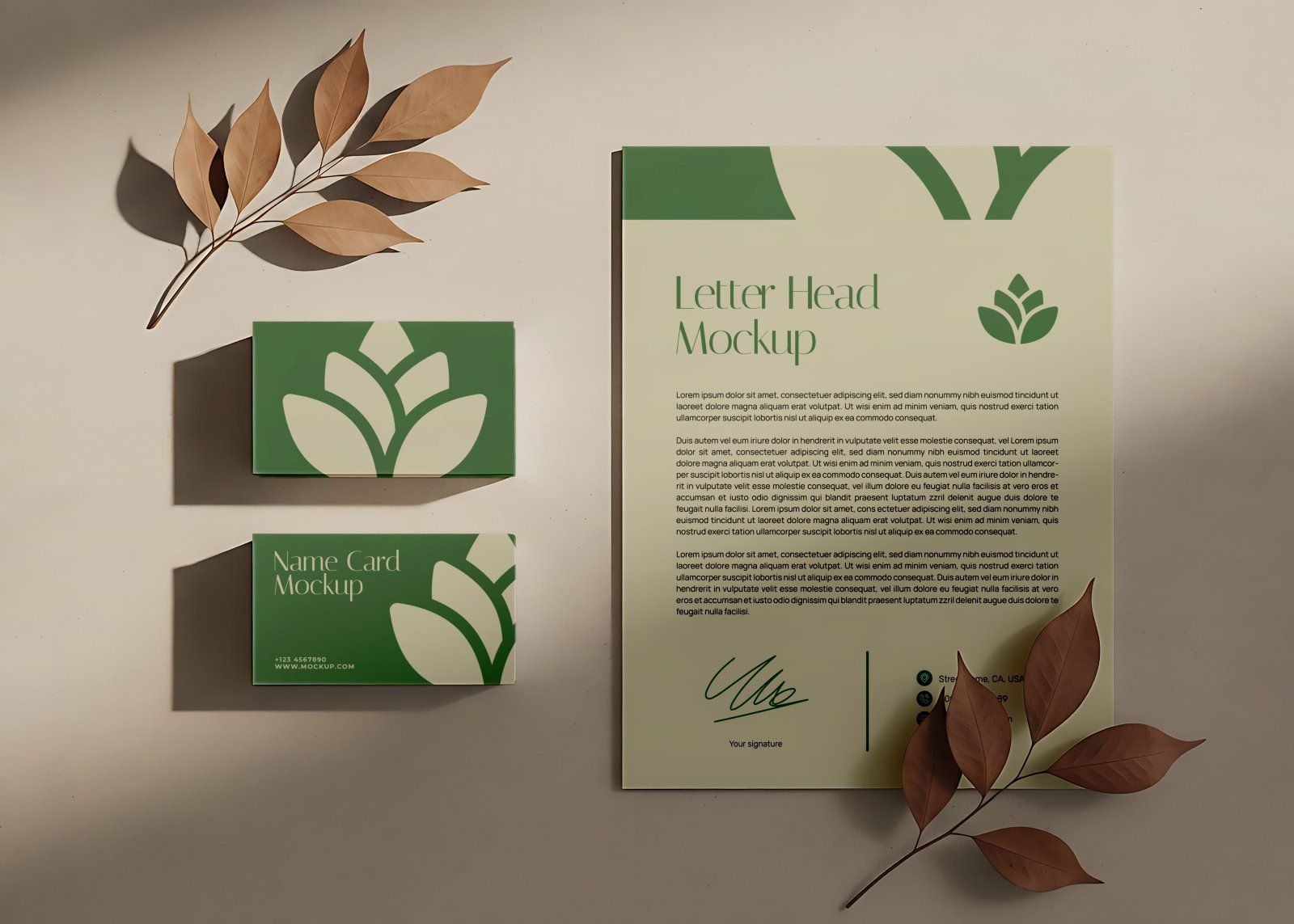 15 Spa & Beauty Branding Mockup PSD for Wellness, Skincare & Aromatherapy Designers — image 8