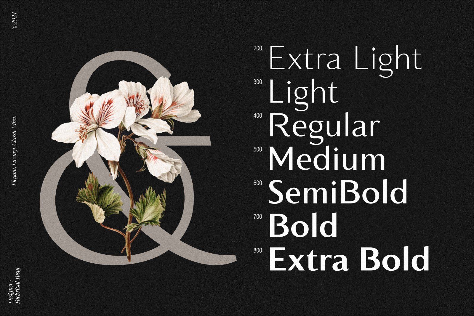 Montier Elegant Display — image 3