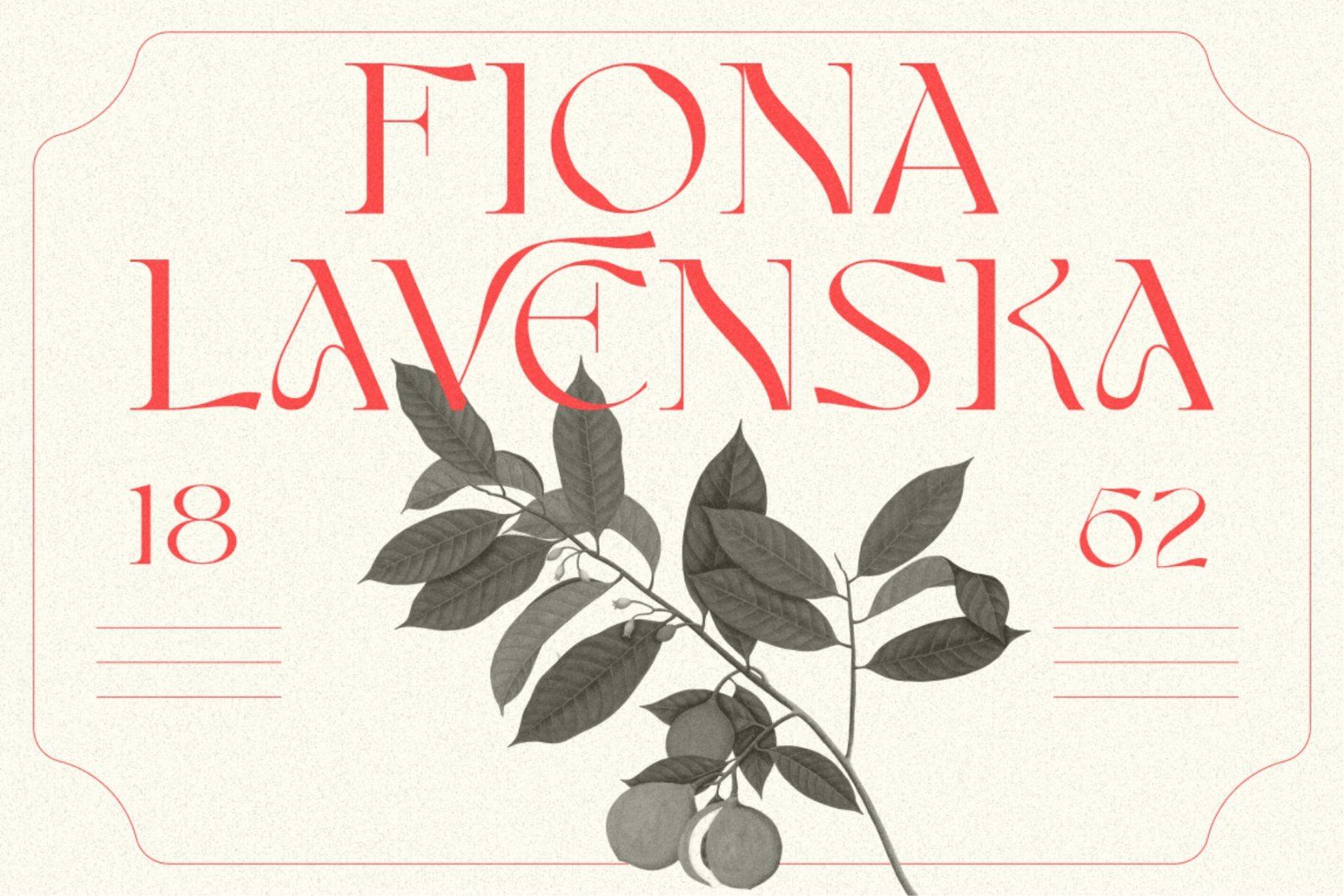 Ganora - Font — image 3