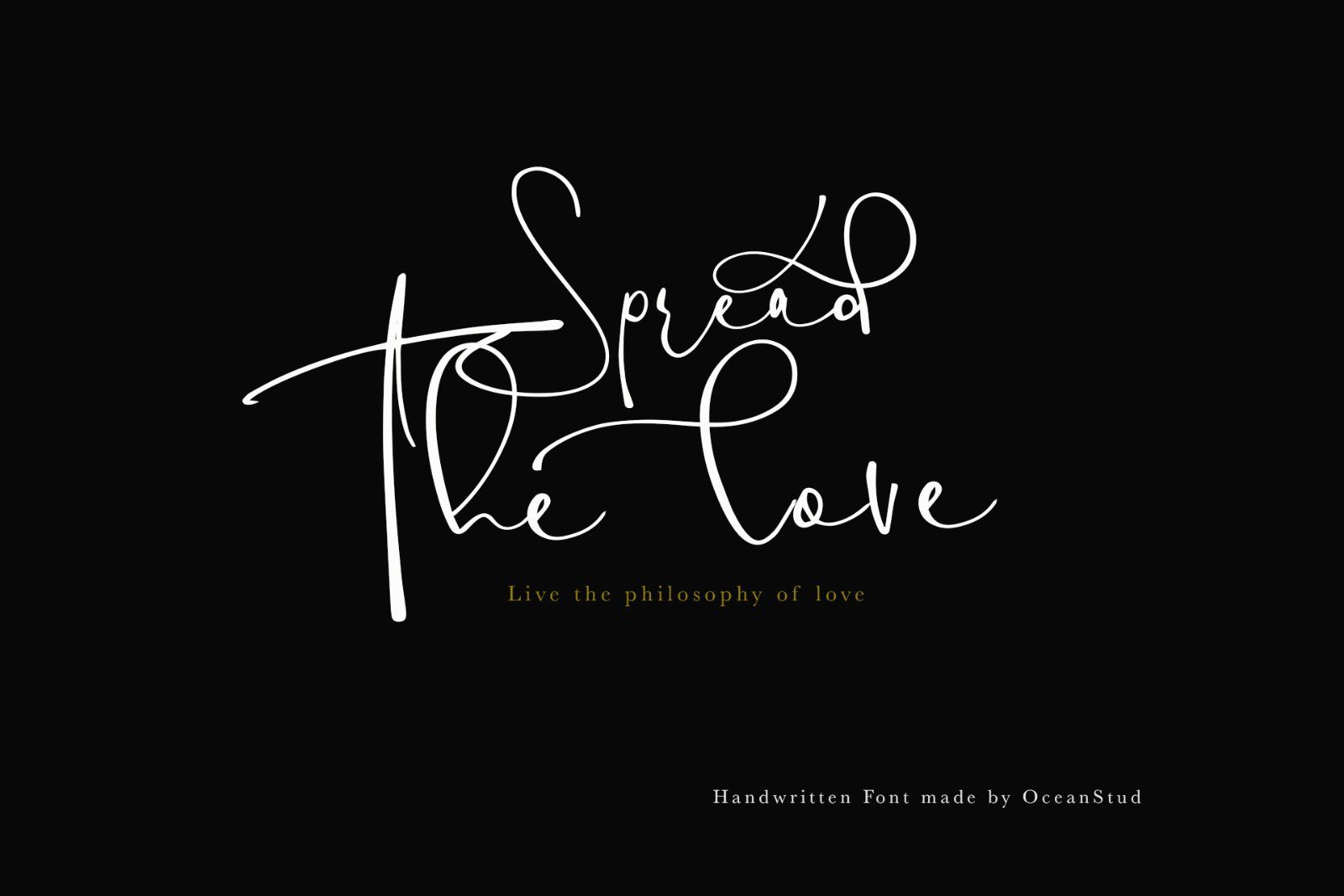 Holy Type | Handwritten Font — image 3