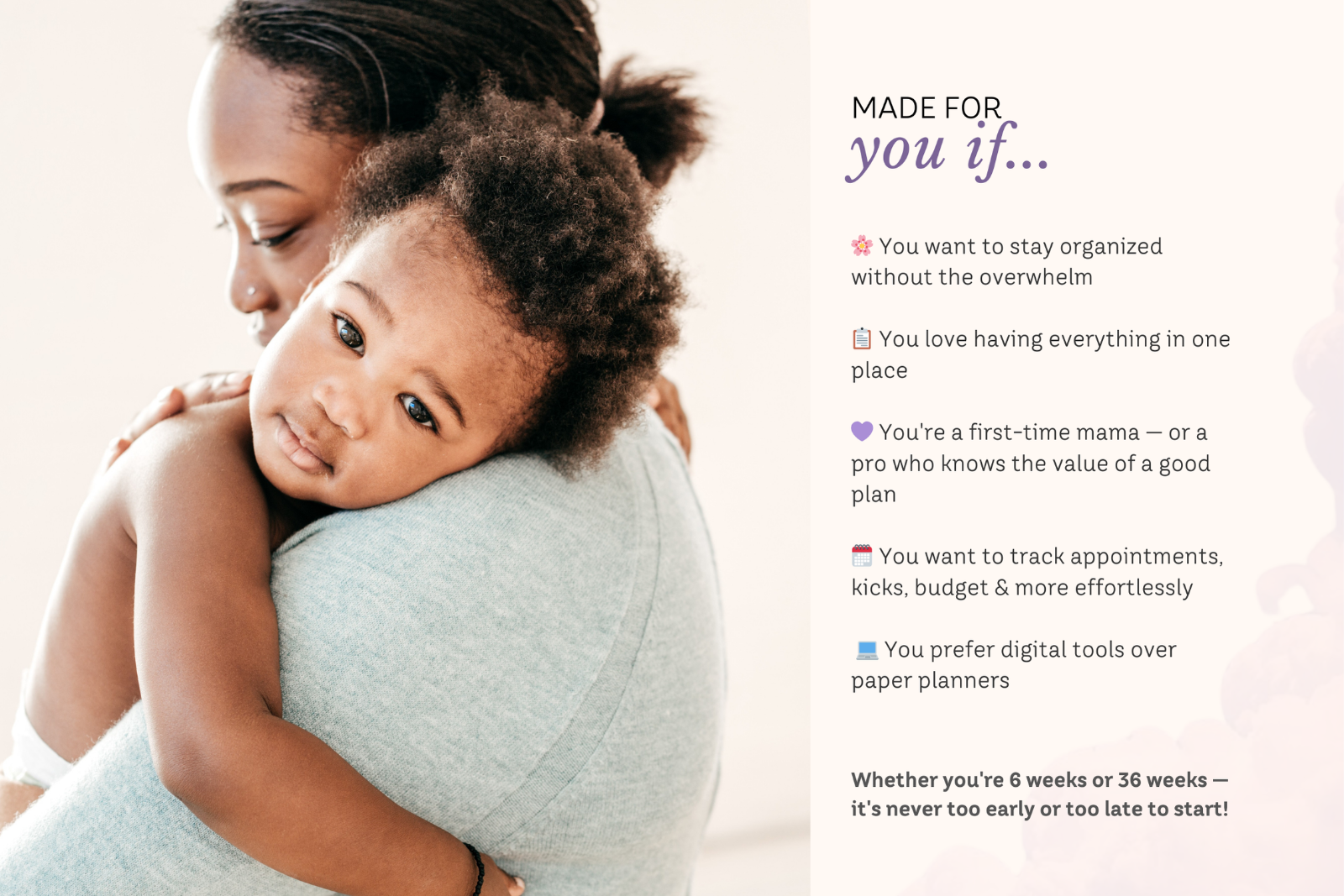Pregnancy Planner Excel Spreadsheet — image 3