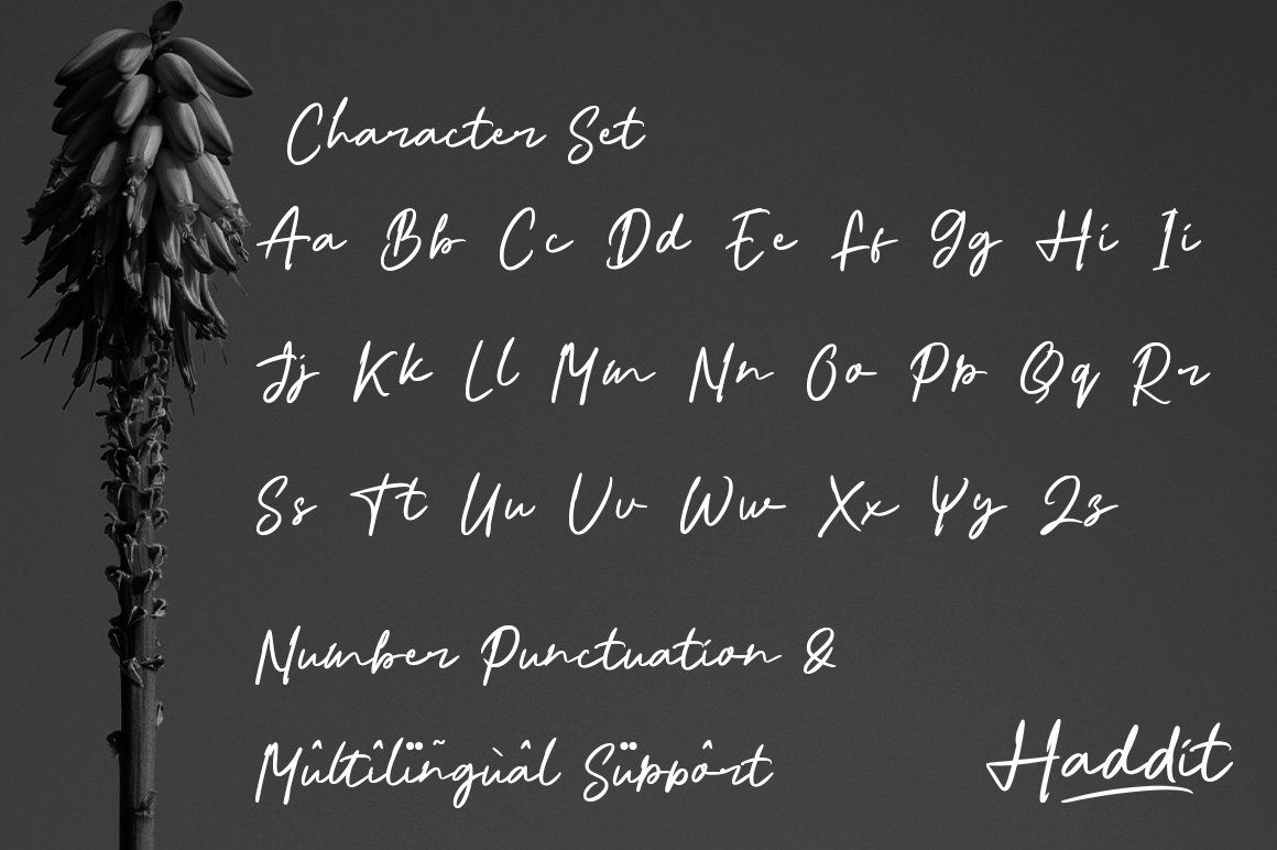 Haddit — image 3