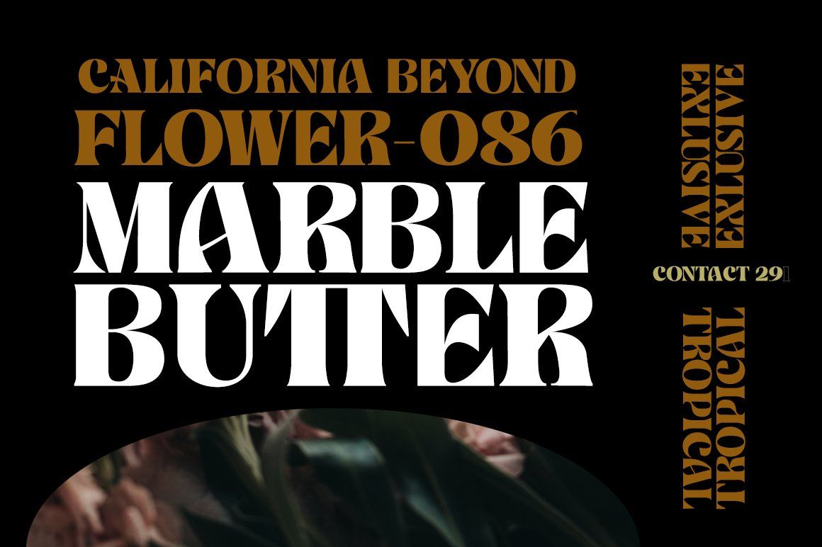 BANNER — image 3