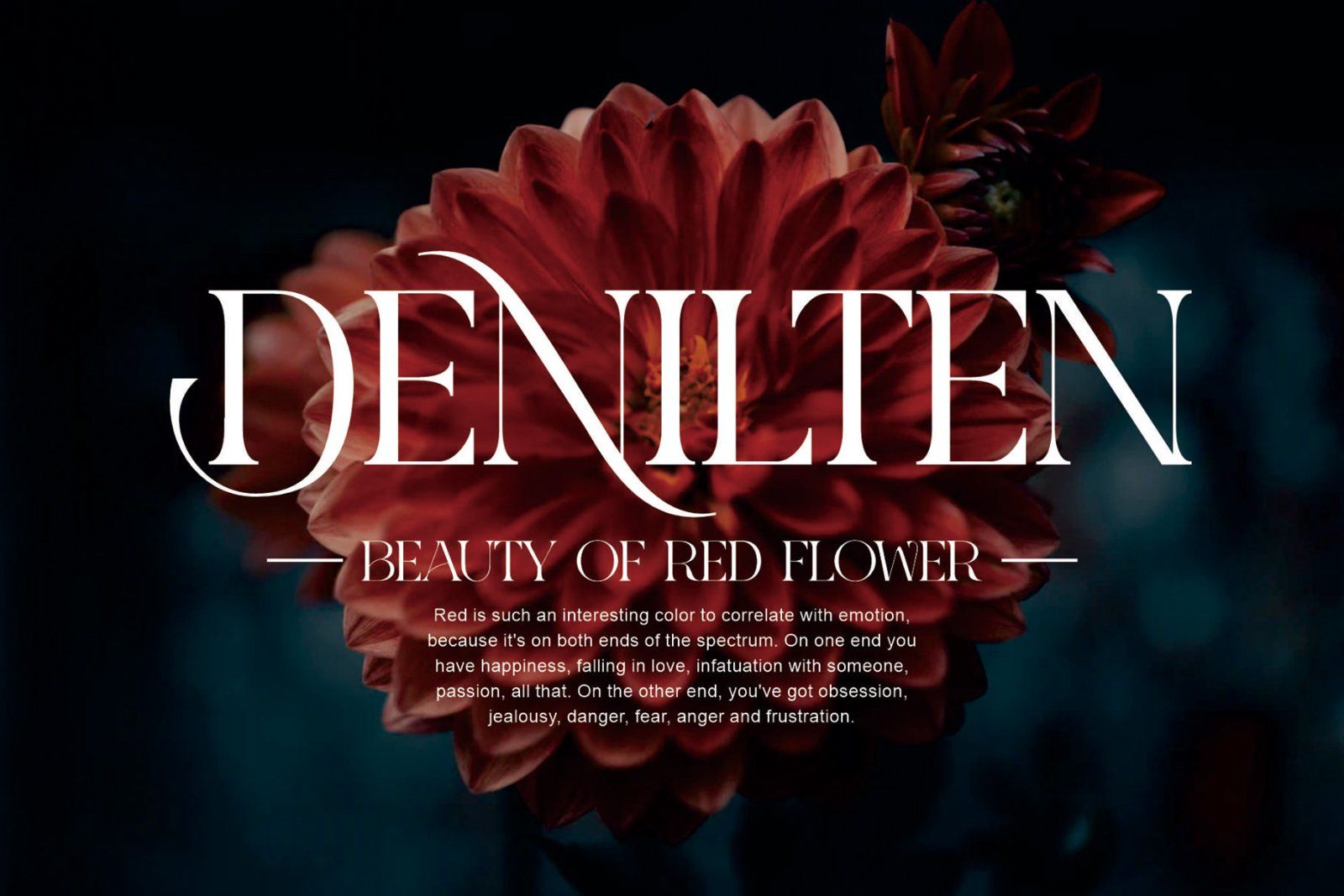 KUINCA Modern Ligature Serif — image 3