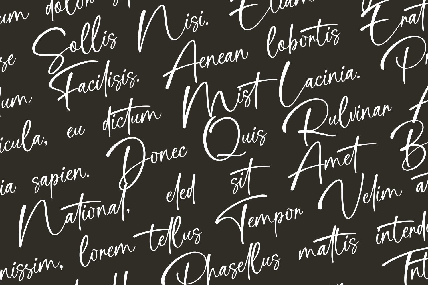 Cathlink Script Font — image 3