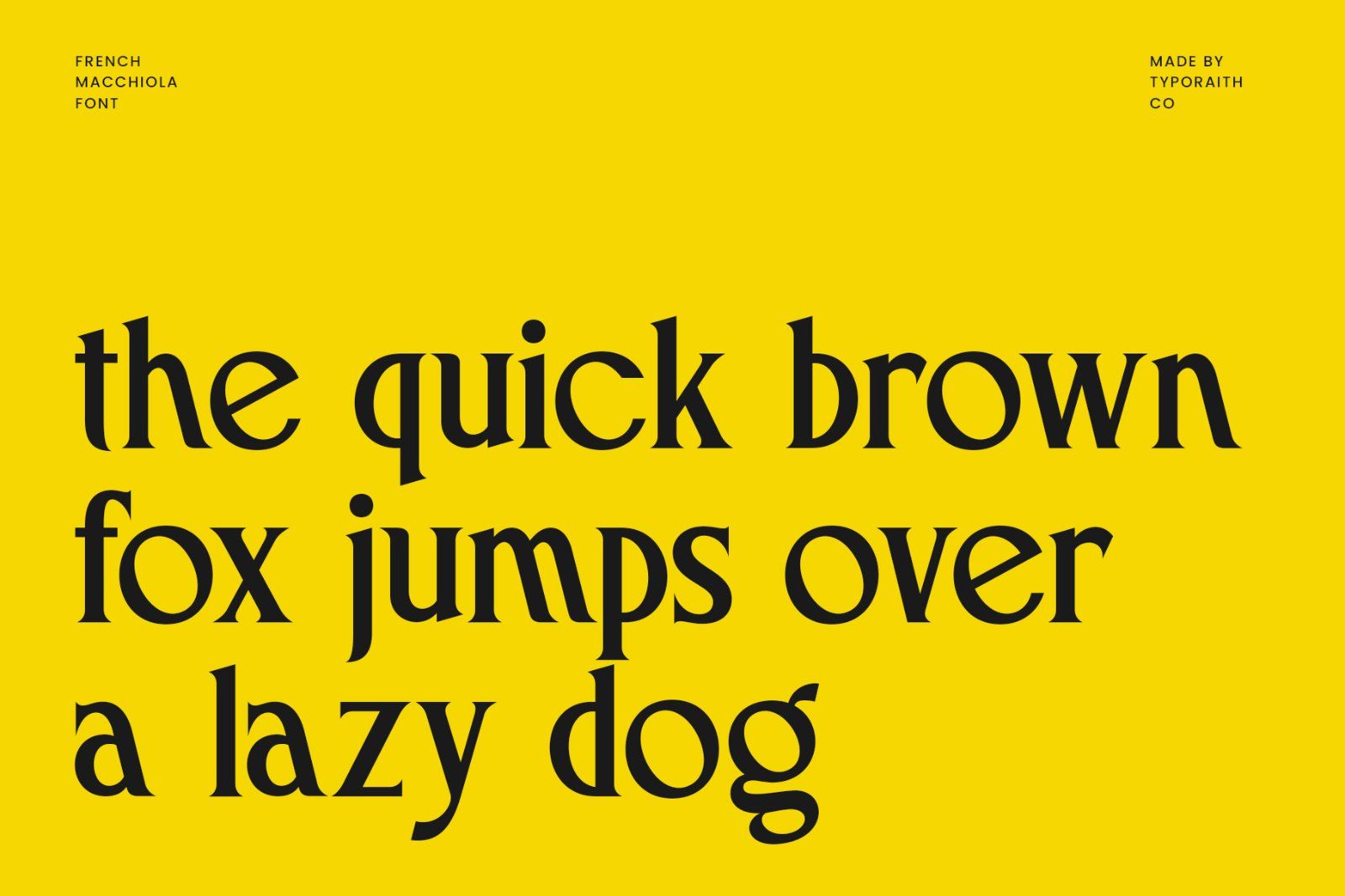 French Macchiola | Vintage Display Serif — image 14