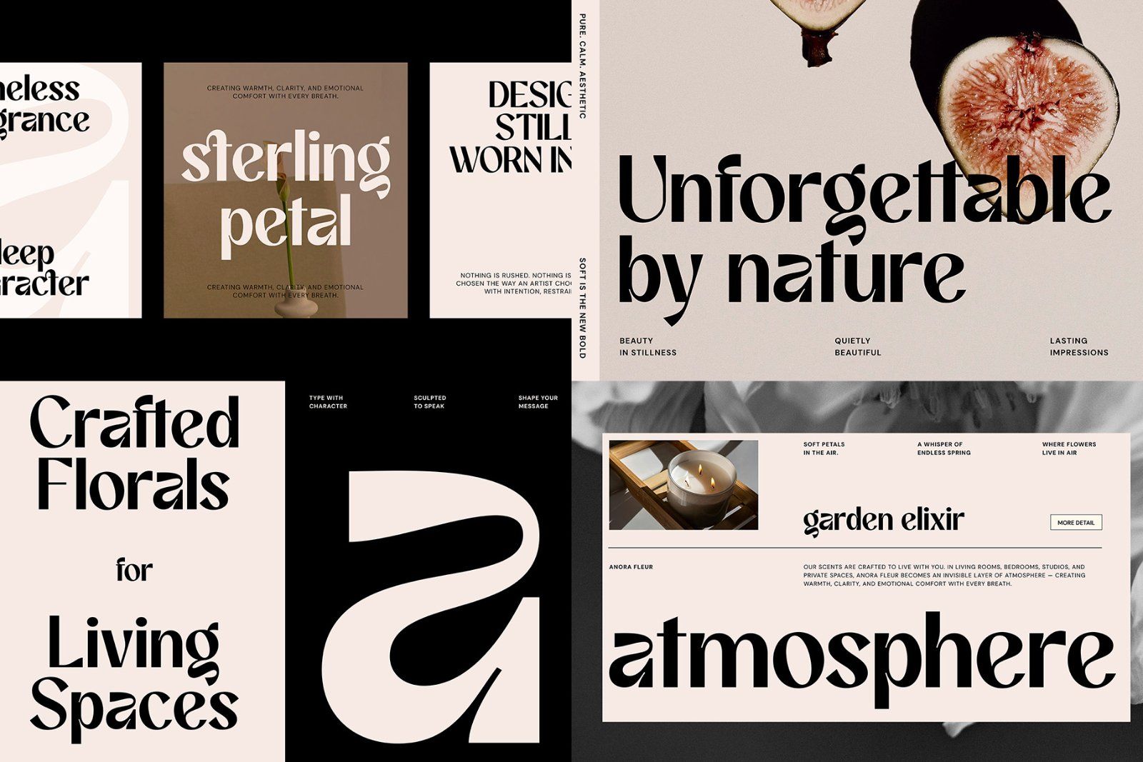 Font Bundle Collection — image 9