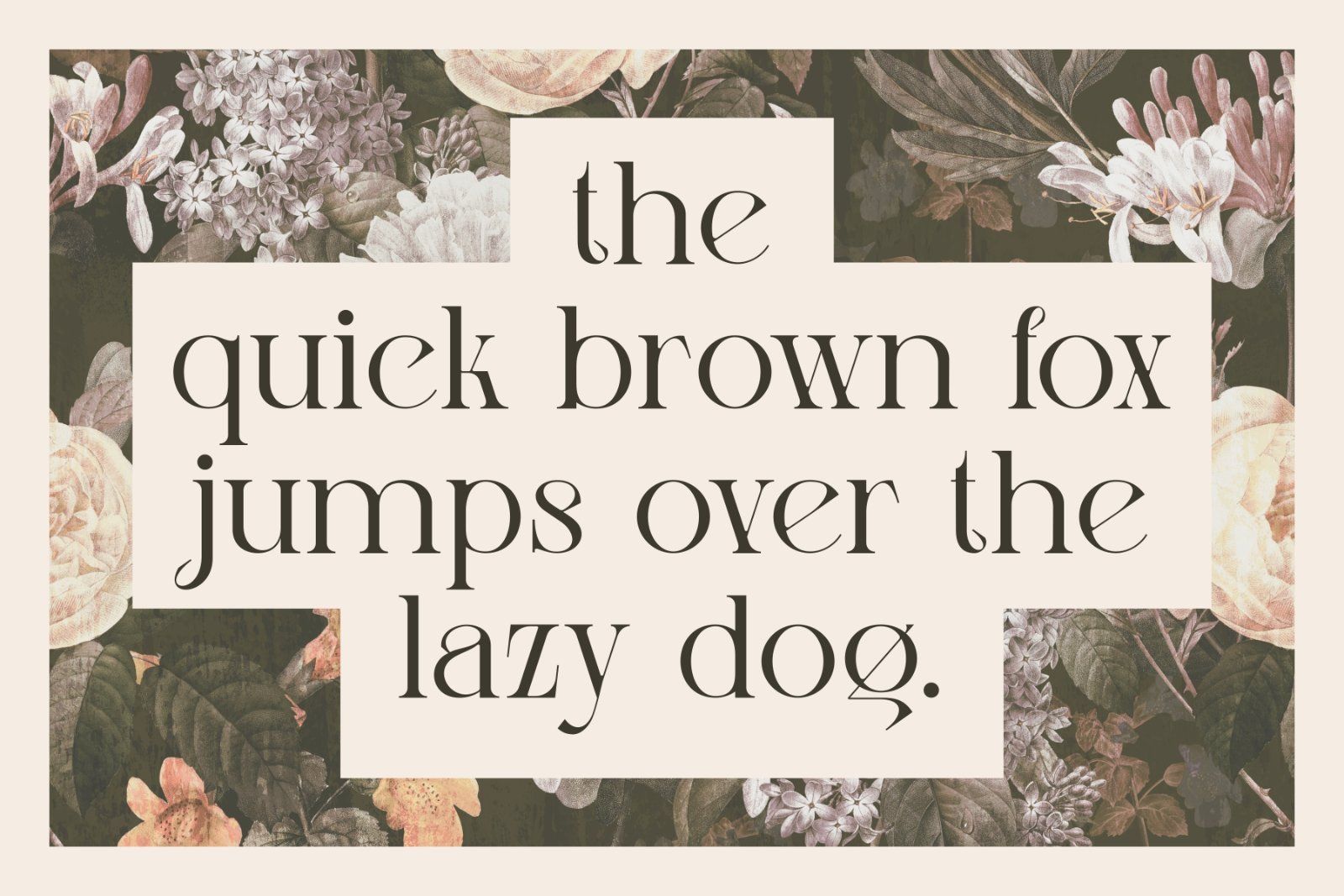 Lissa Font — image 3