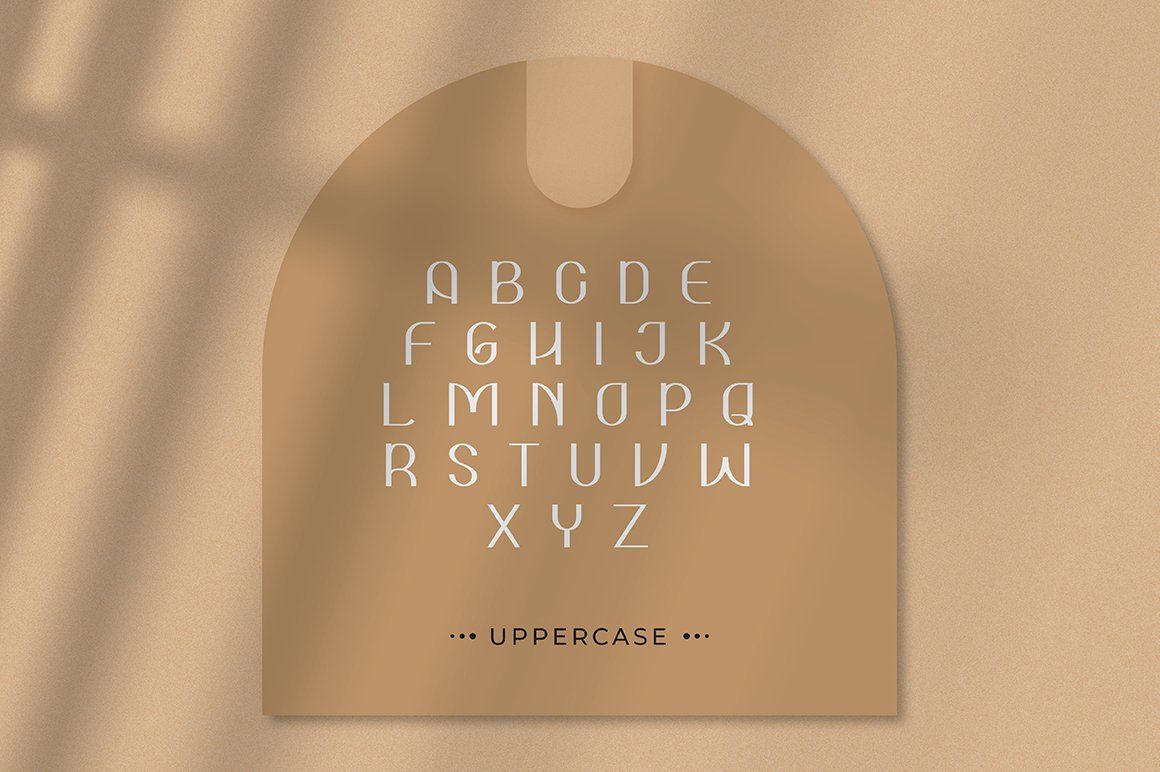 ASOKA — image 3