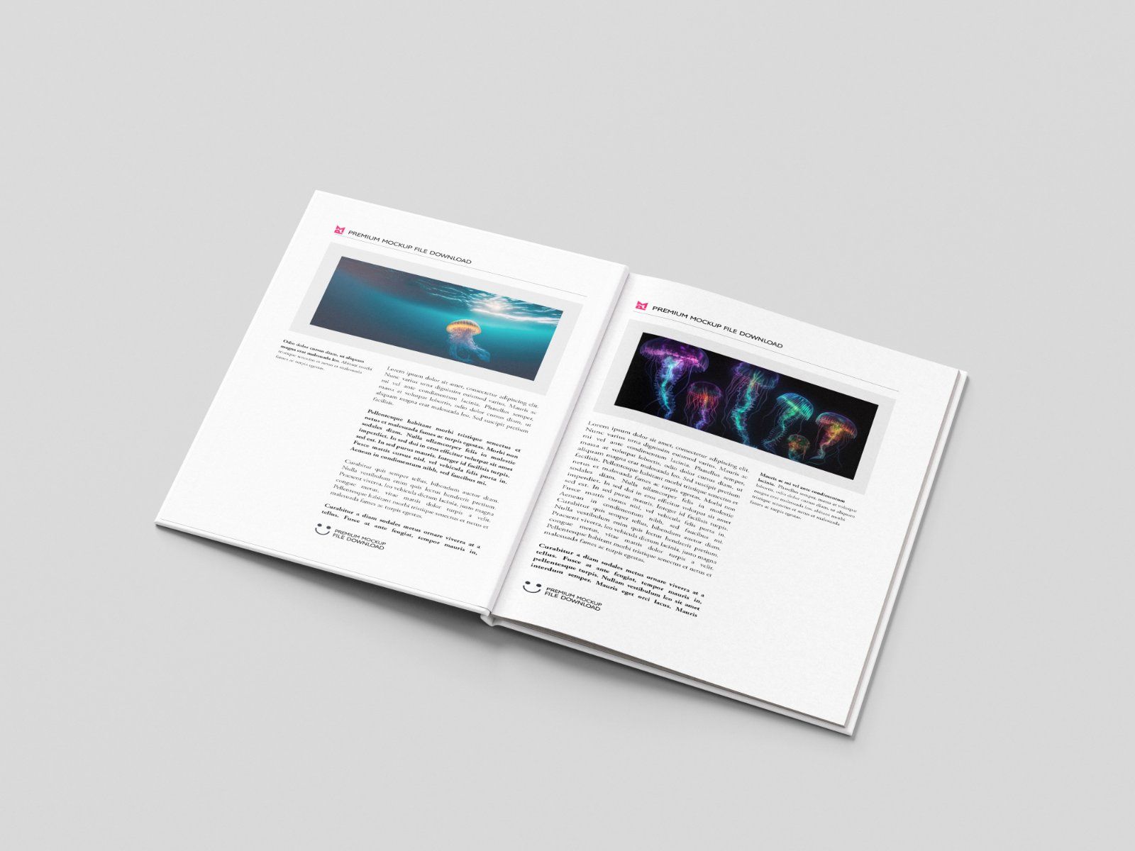 Minimal book mockup — image 3