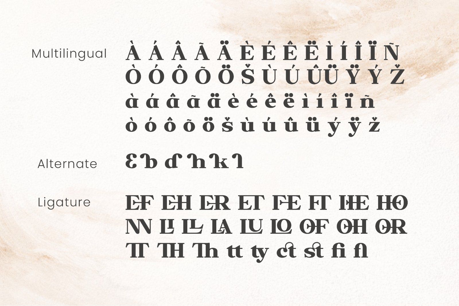 QORINE – Modern Transitional Serif — image 5