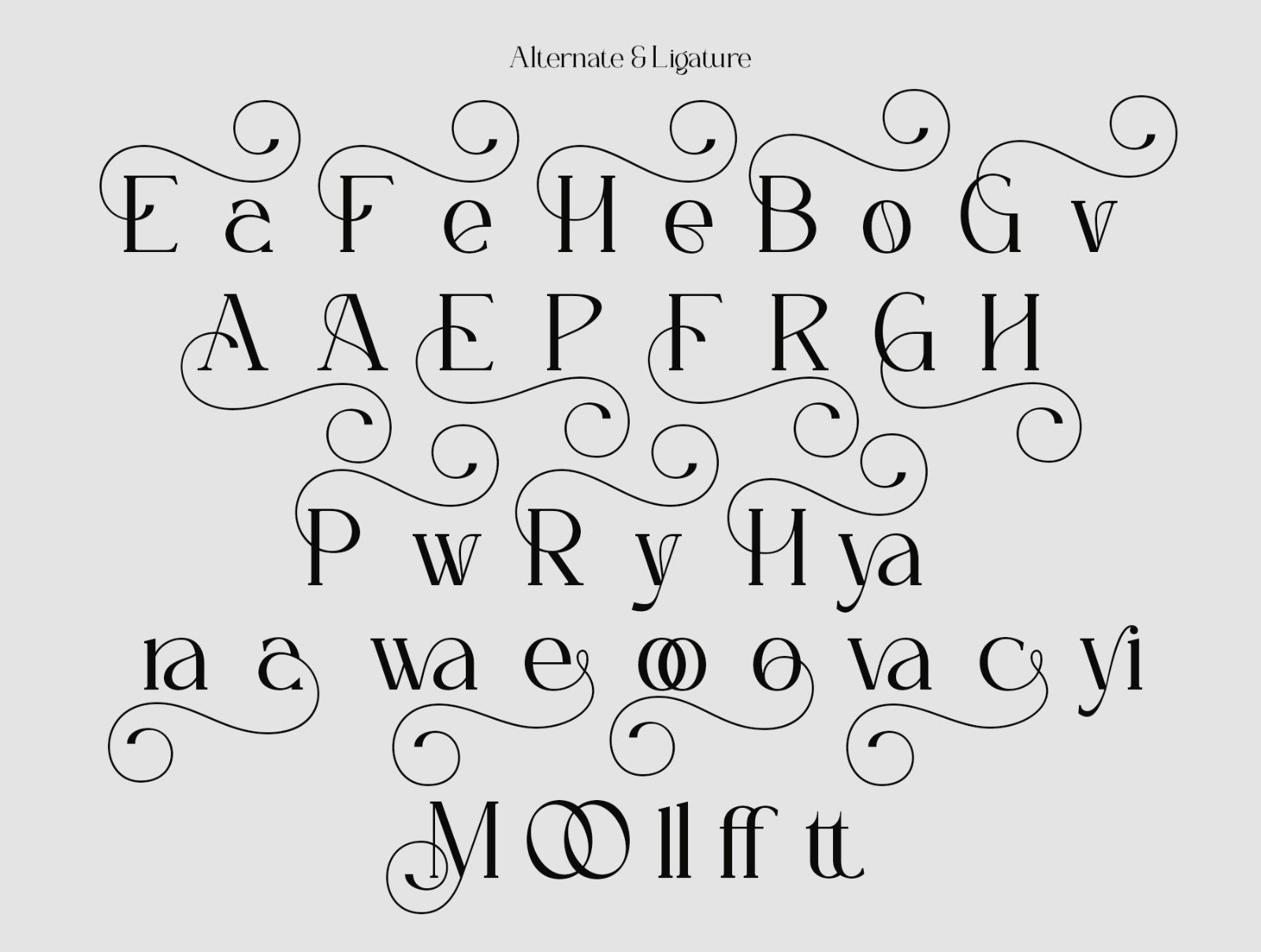 ELOVENA - Elegant Serif Font — image 7