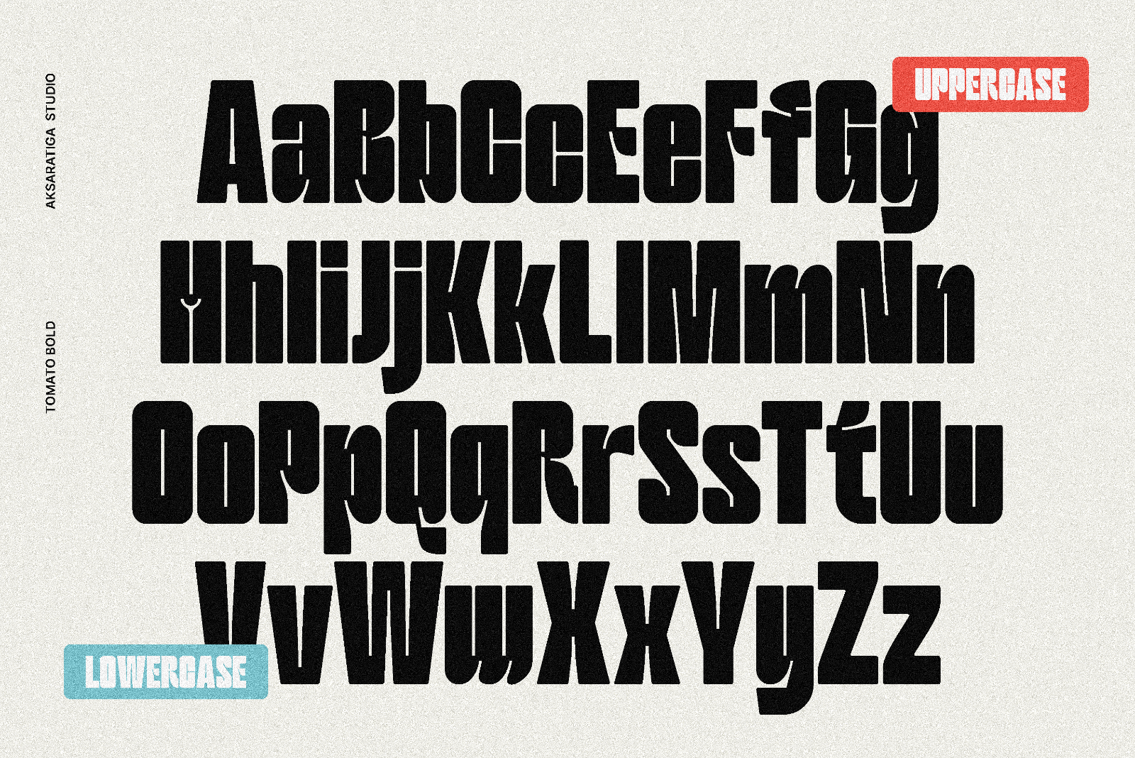 Tomato Bold — image 3