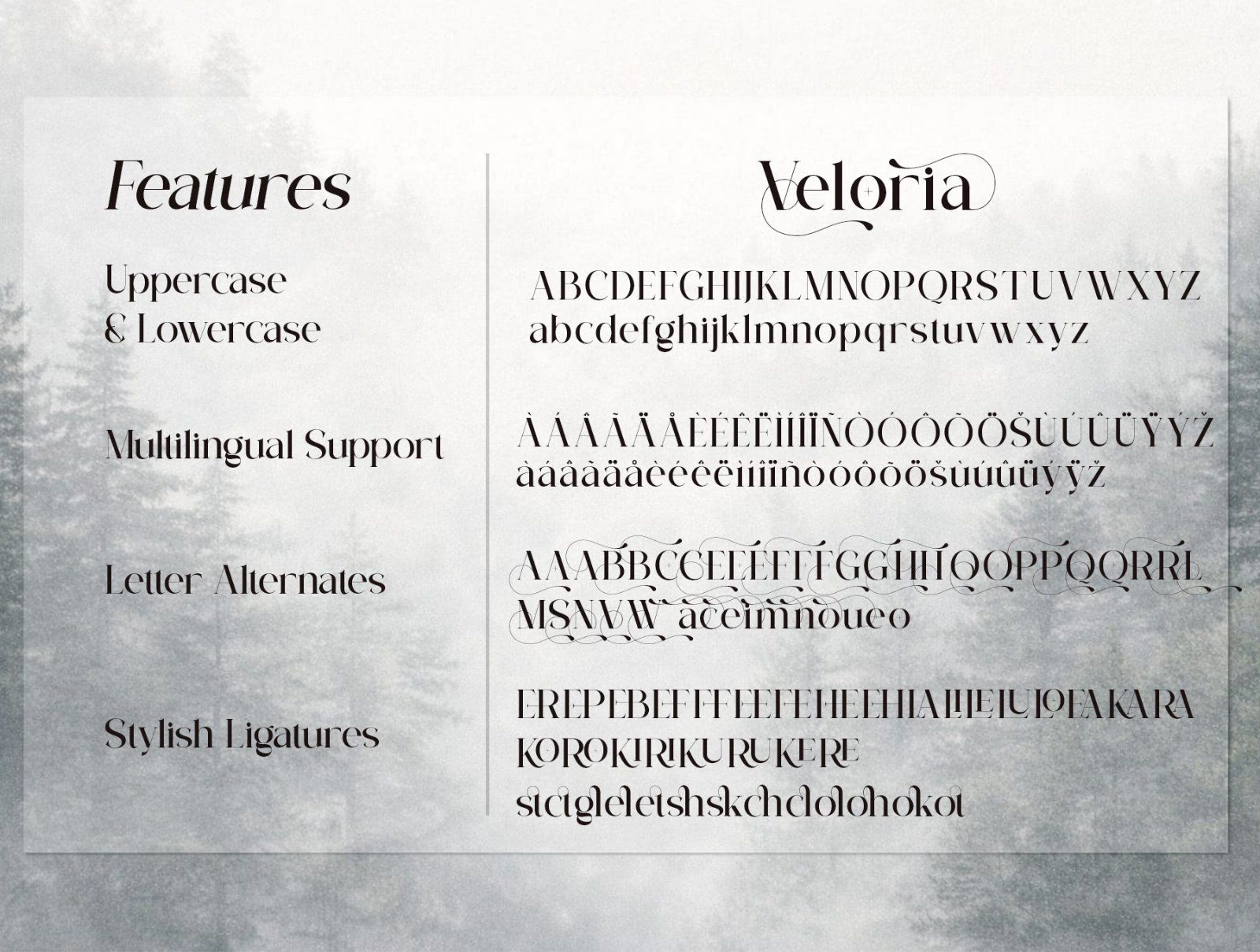 Veloria — image 3