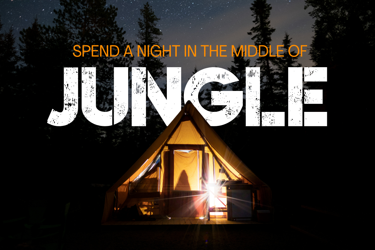 Wild Jungle — image 3