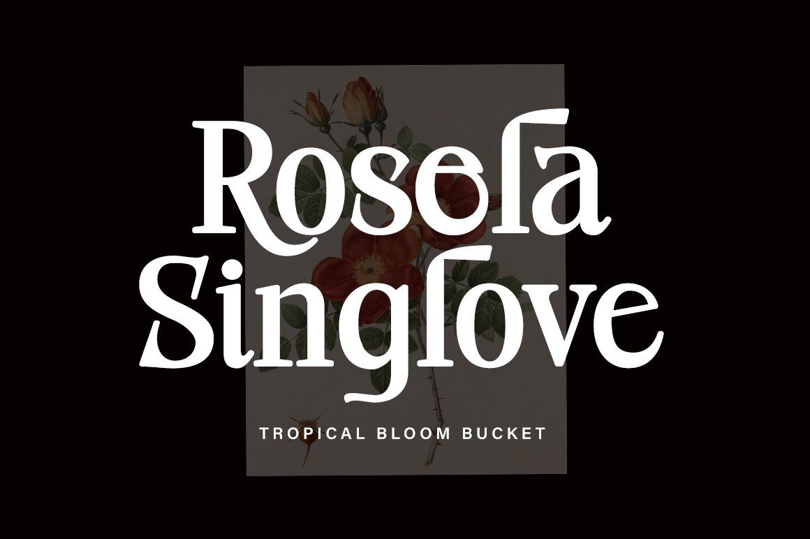 Roseta — image 3