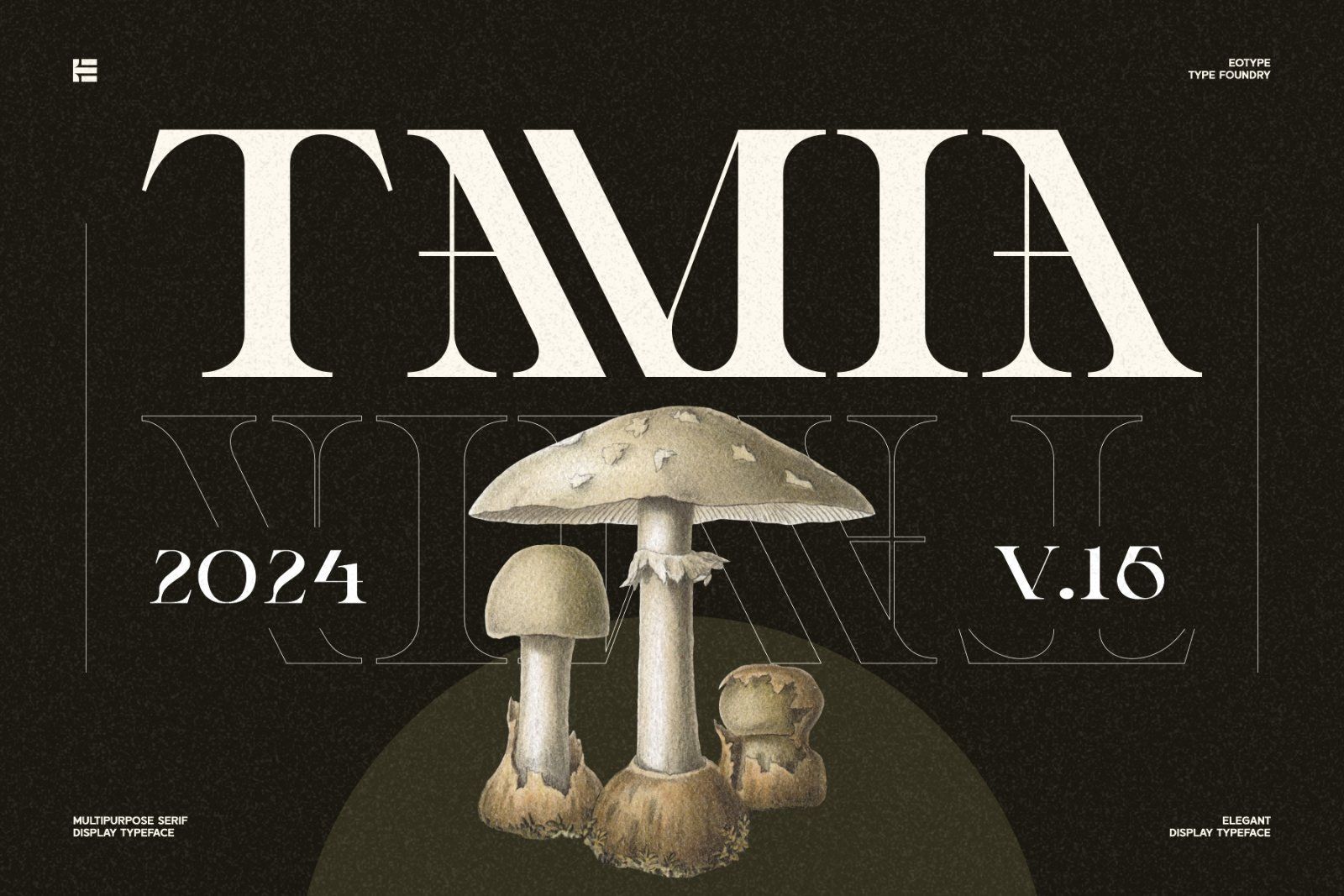 Naori Font — image 3