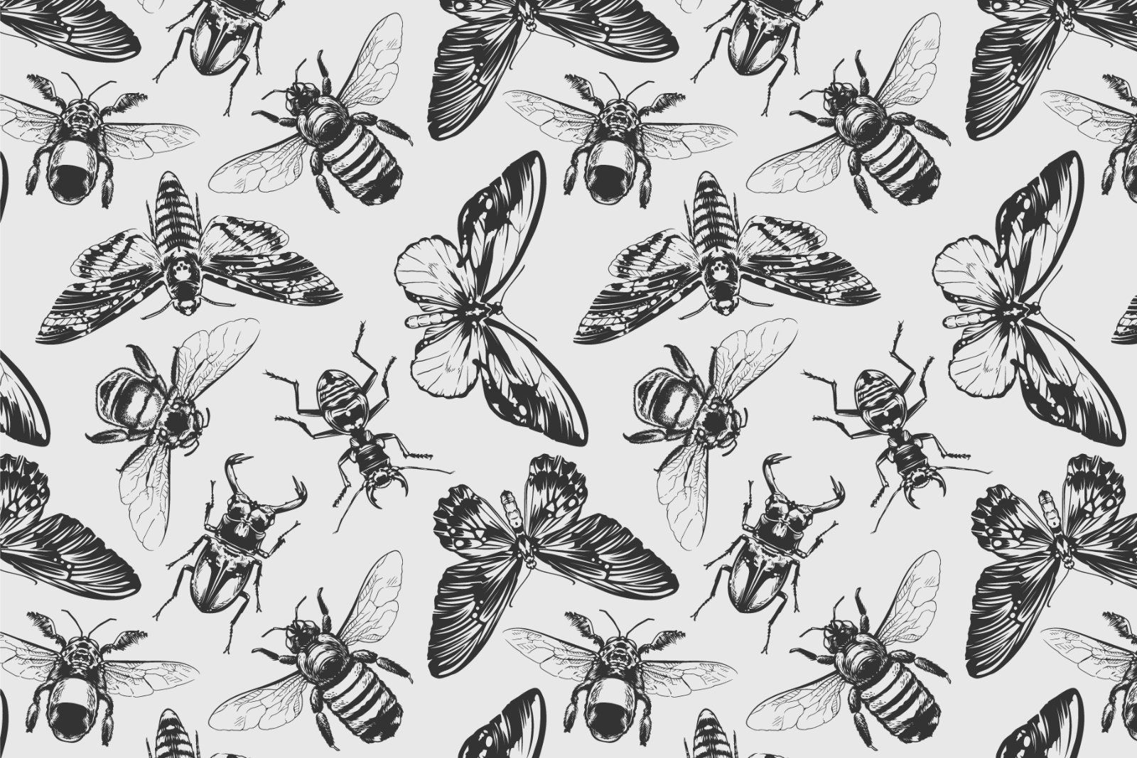 Vintage Insects Vector Set — image 3