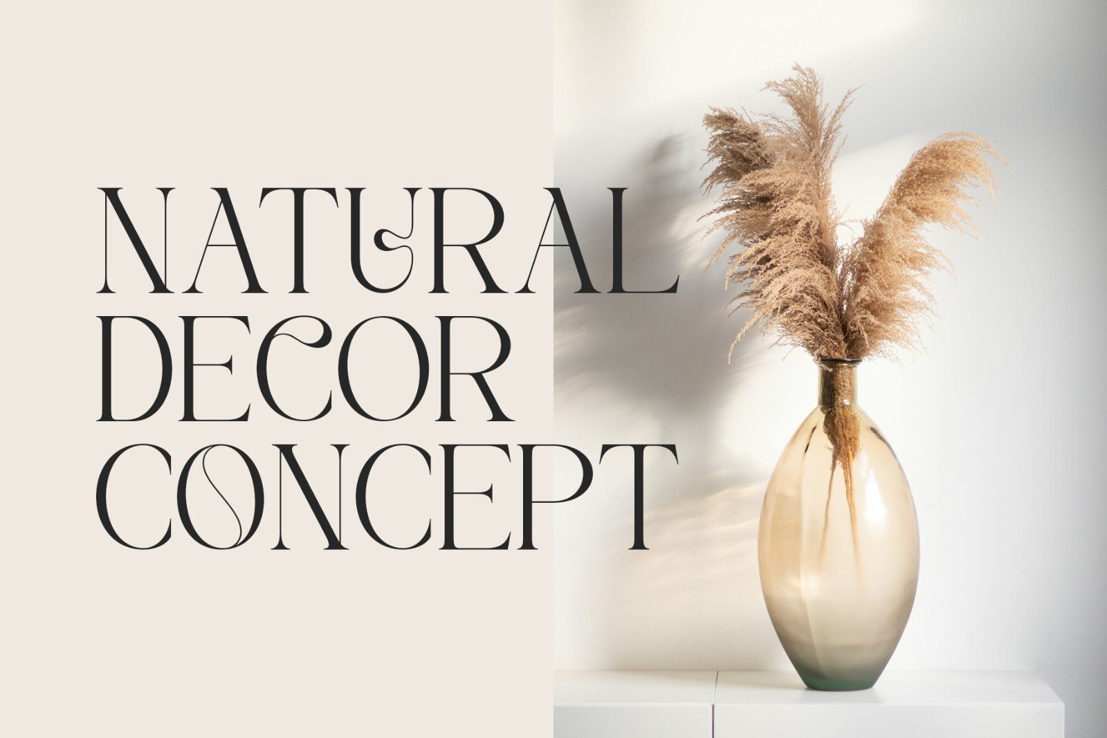 Galem | Elegant Serif — image 4