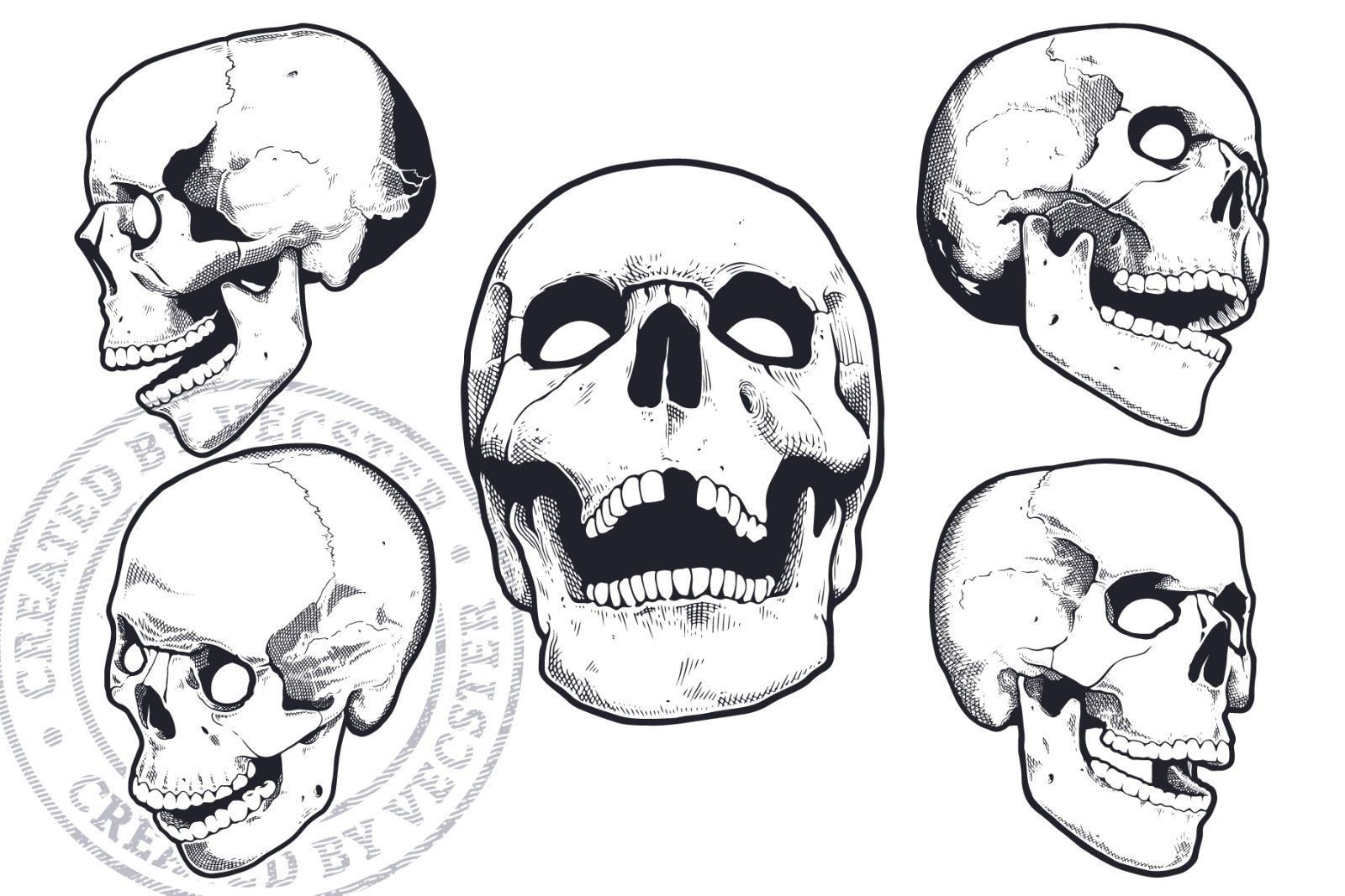 Vintage Vector Skulls Pack — image 3