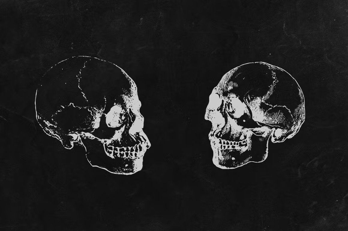 Engraved Skulls Illustrations — image 2