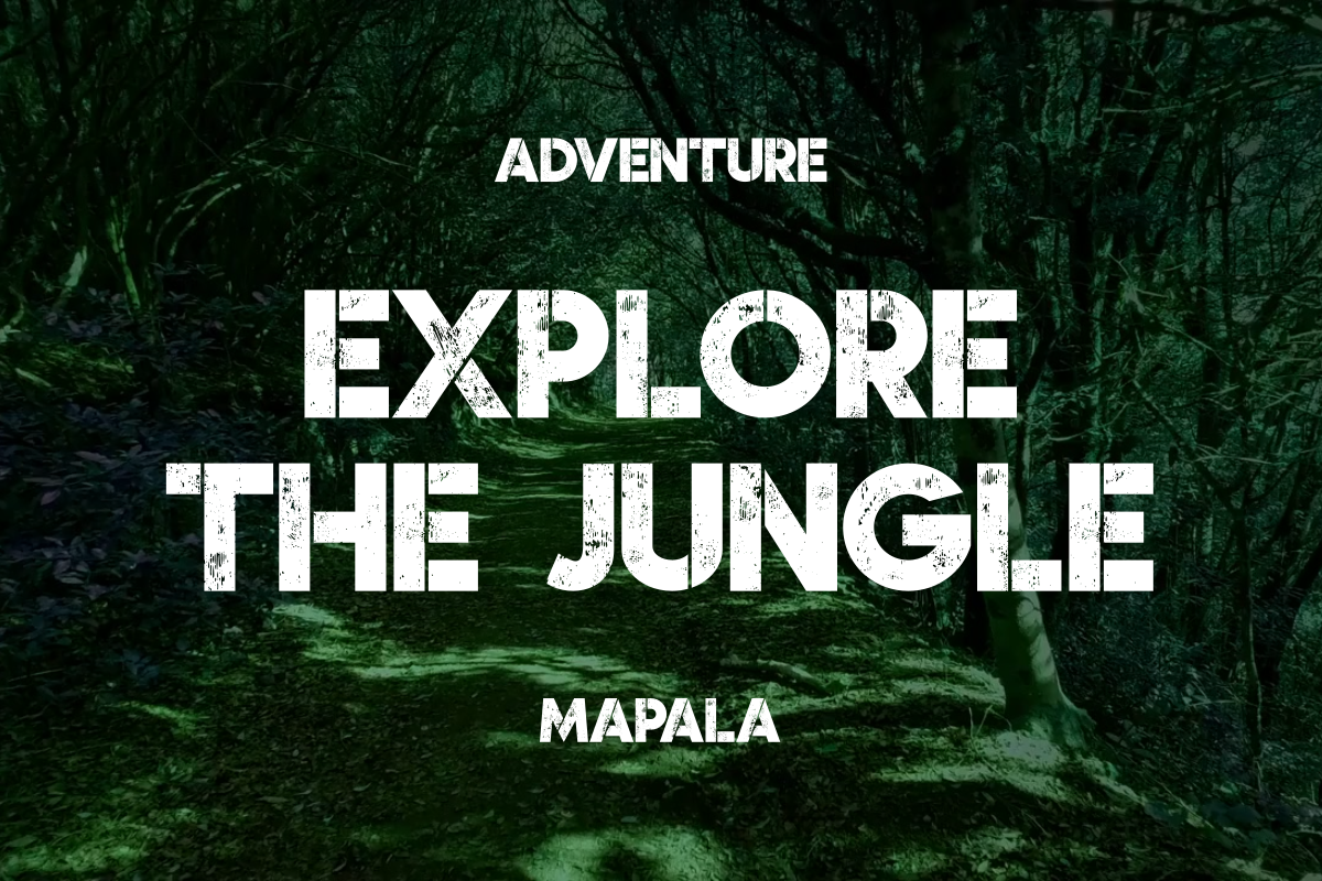 Wild Jungle — image 4