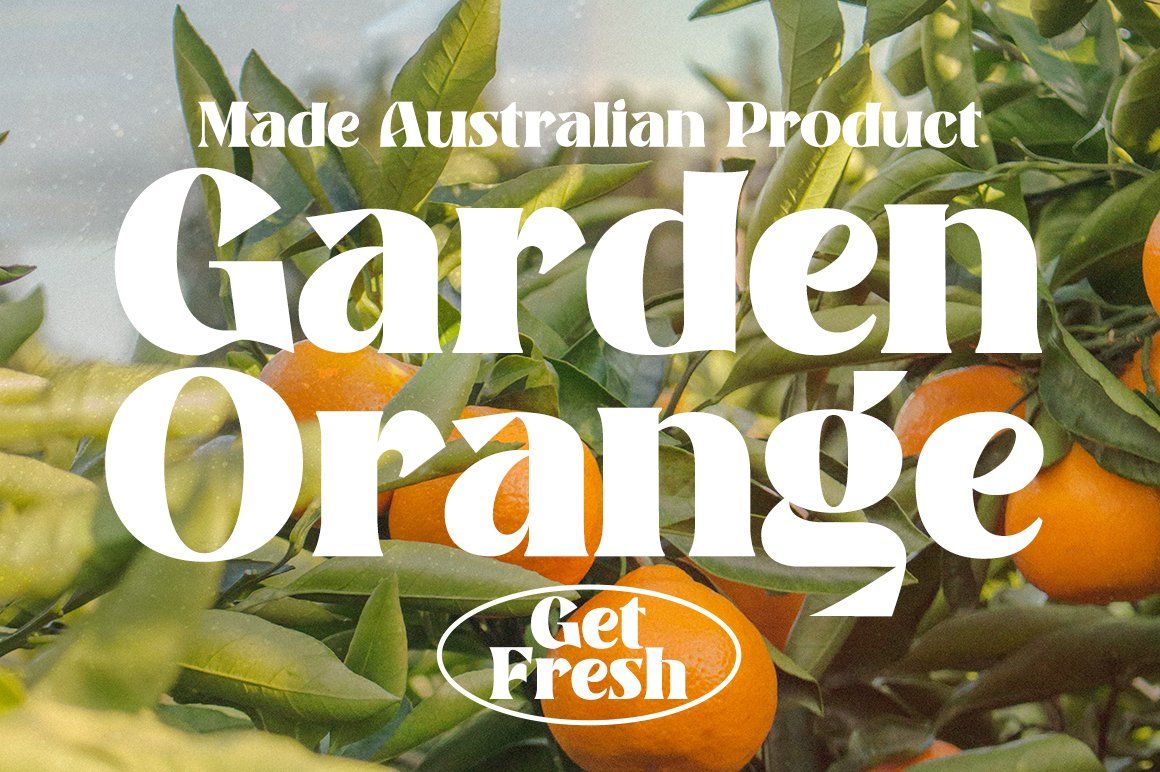 BANNER — image 4