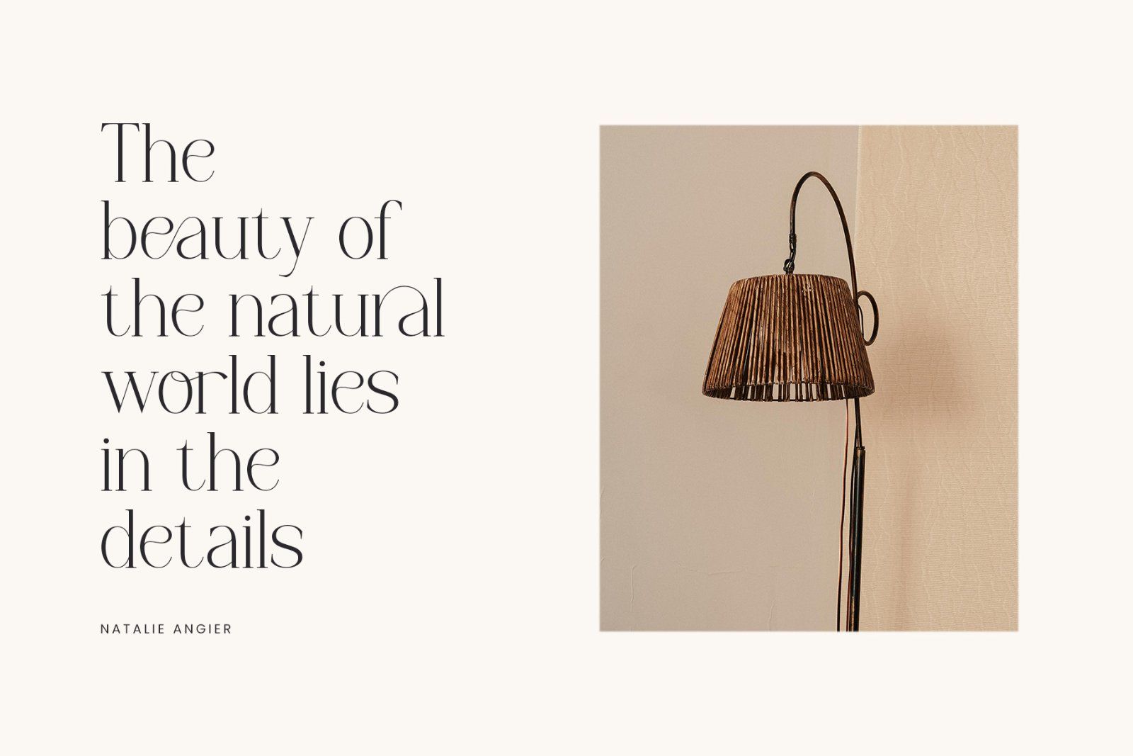 Another Dreams | Modern Serif Font — image 5