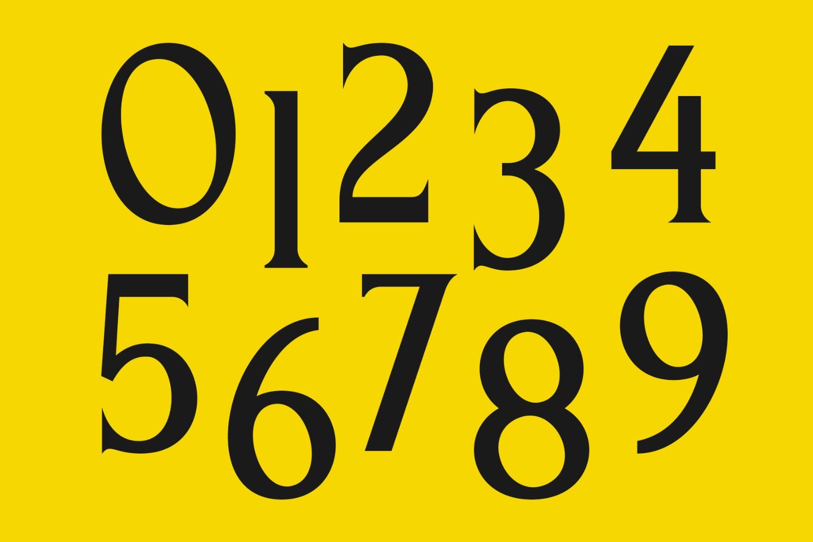 French Macchiola | Vintage Display Serif — image 9