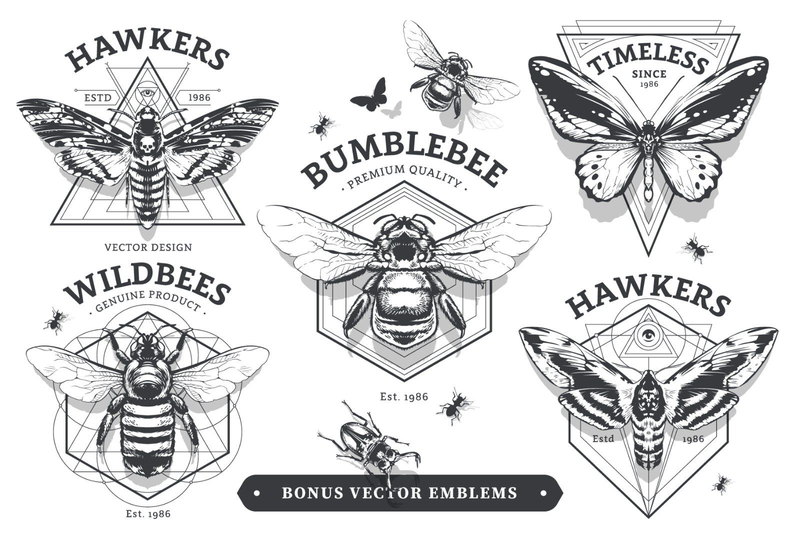 Vintage Insects Vector Set — image 4