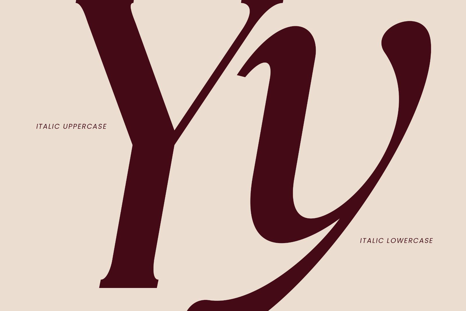 The Sanchez Monthly | A Modern Serif Italic Font — image 5