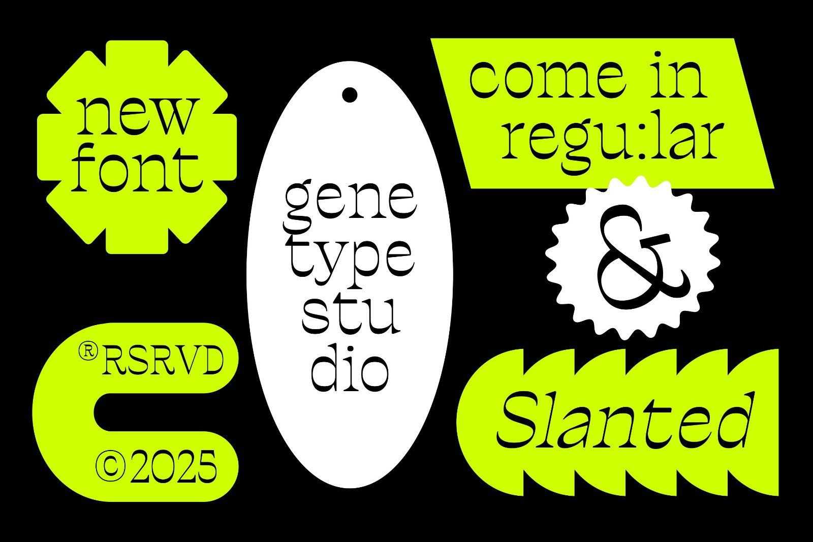 Ronders Reverse Contrast Font — image 4