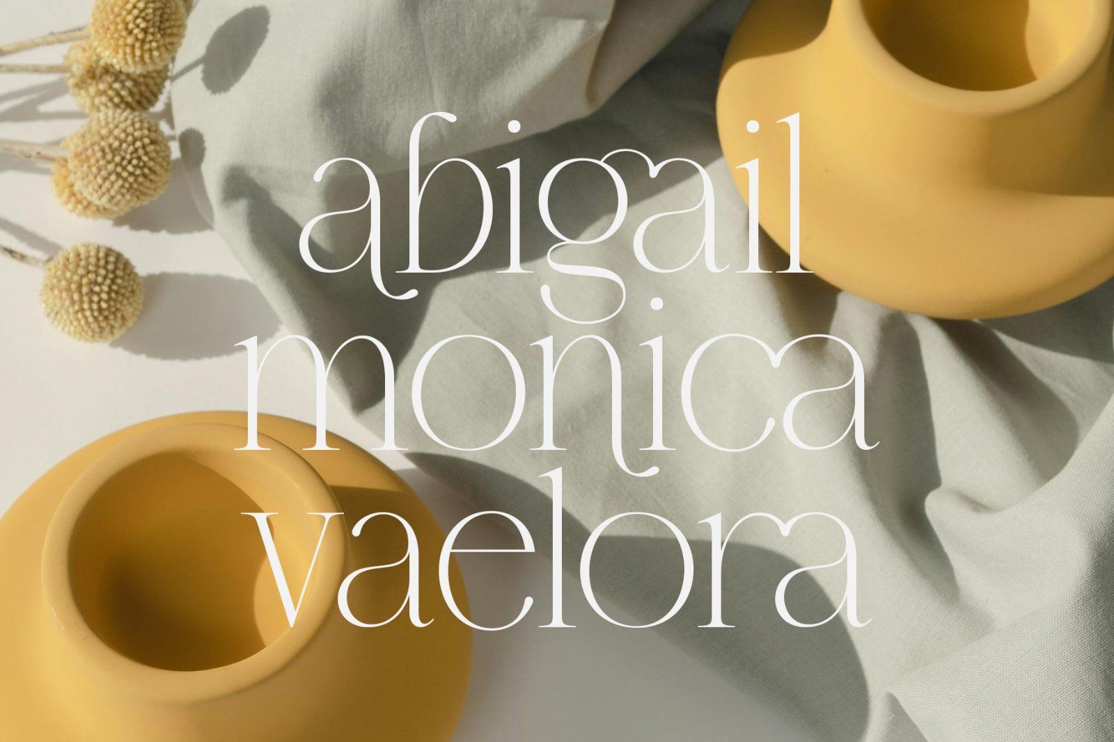 Brumer | Modern Elegant Serif — image 9