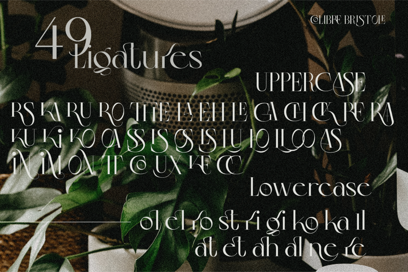 Colibre Bristole Pro | Serif Font — image 4